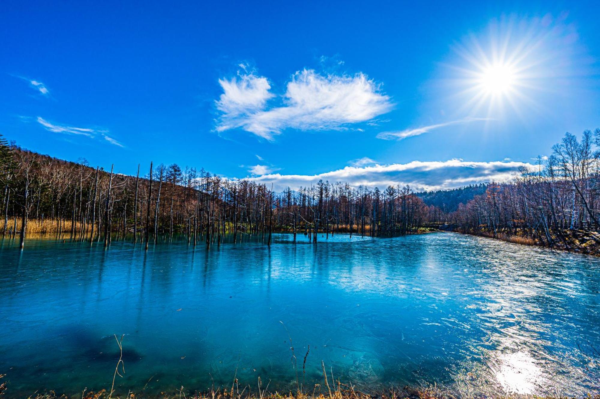 Biei Shirogane Onsen Hotel Park Hills Екстер'єр фото