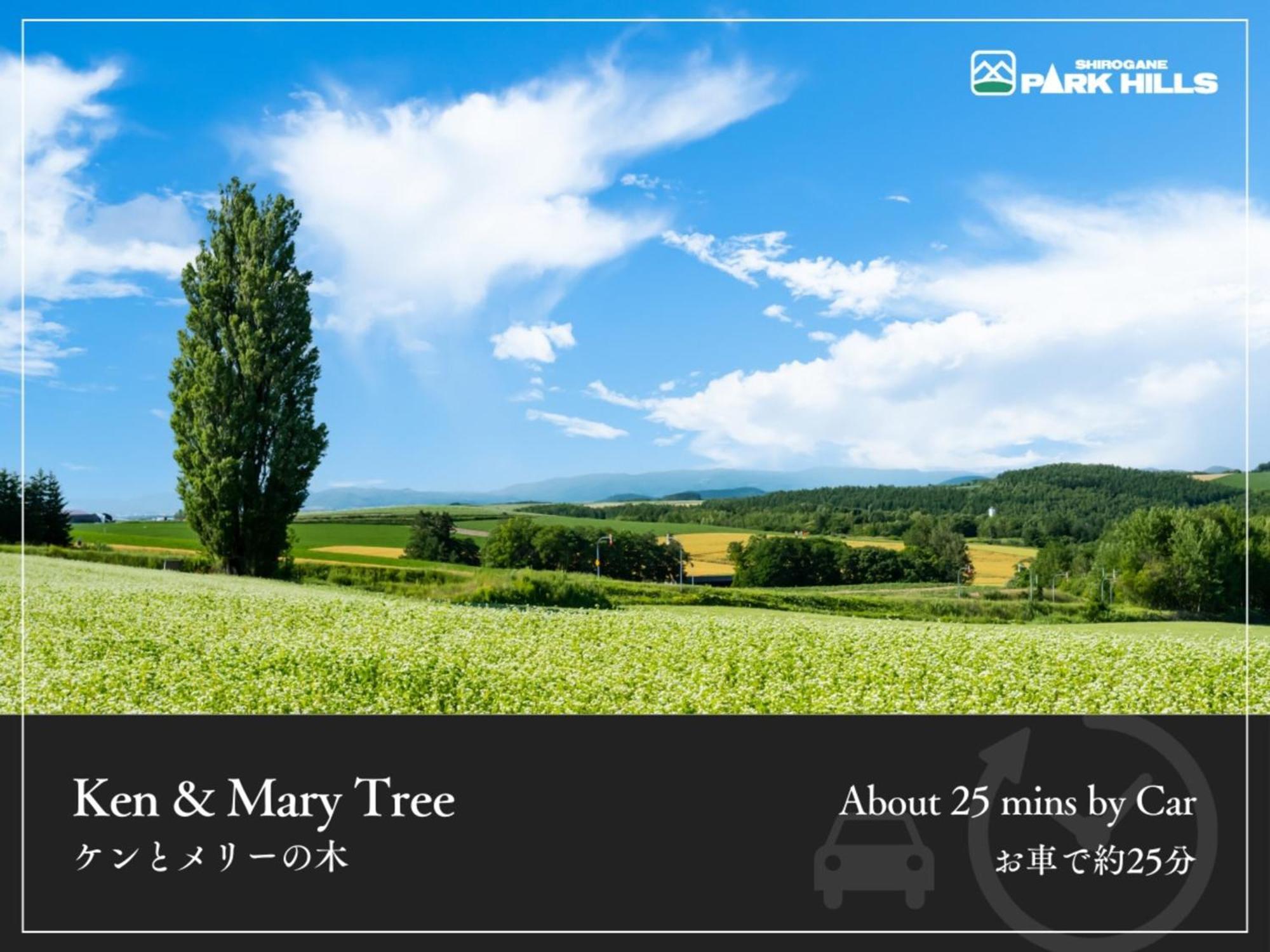 Biei Shirogane Onsen Hotel Park Hills Екстер'єр фото